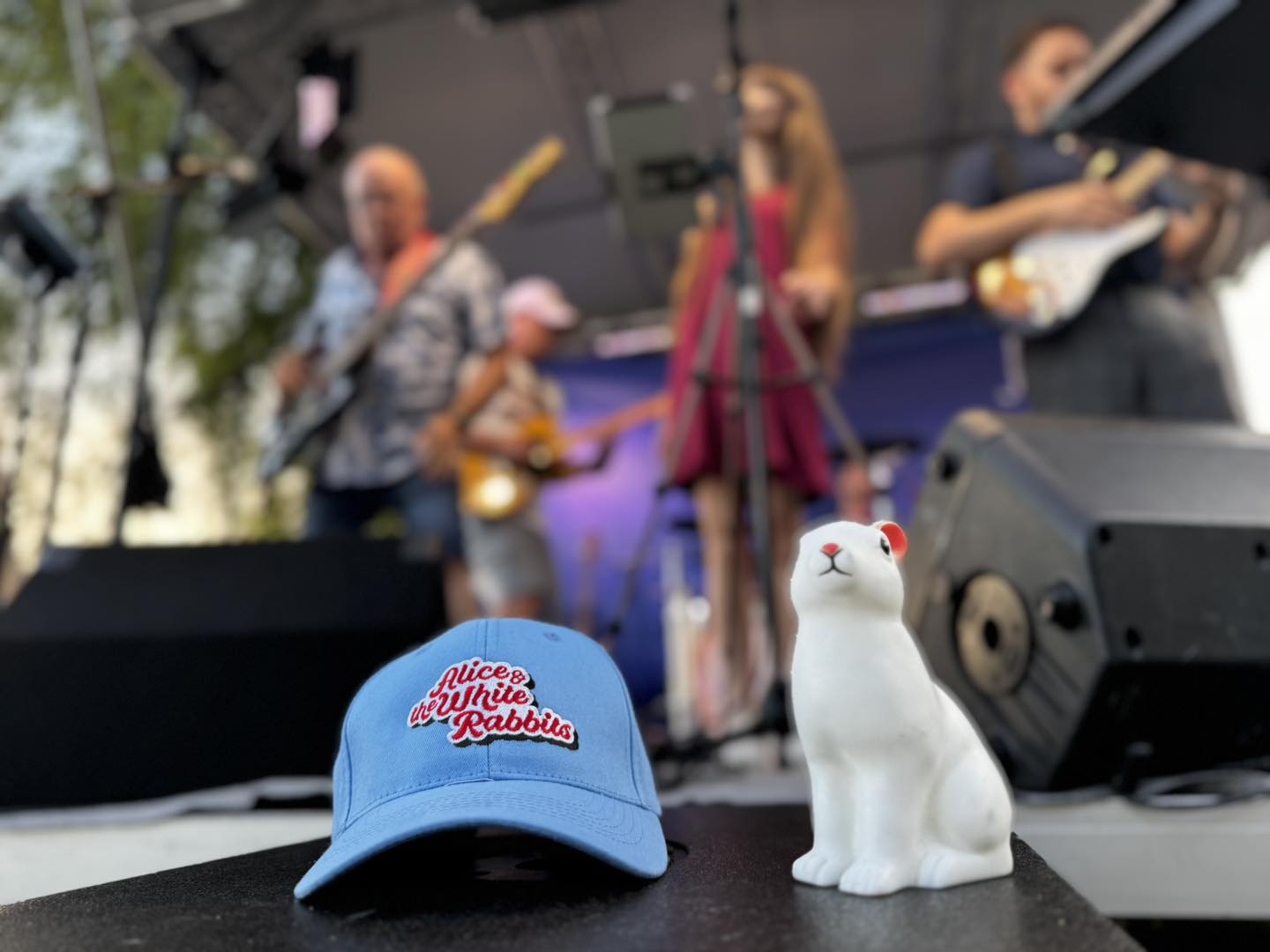 Alice and The White Rabbits