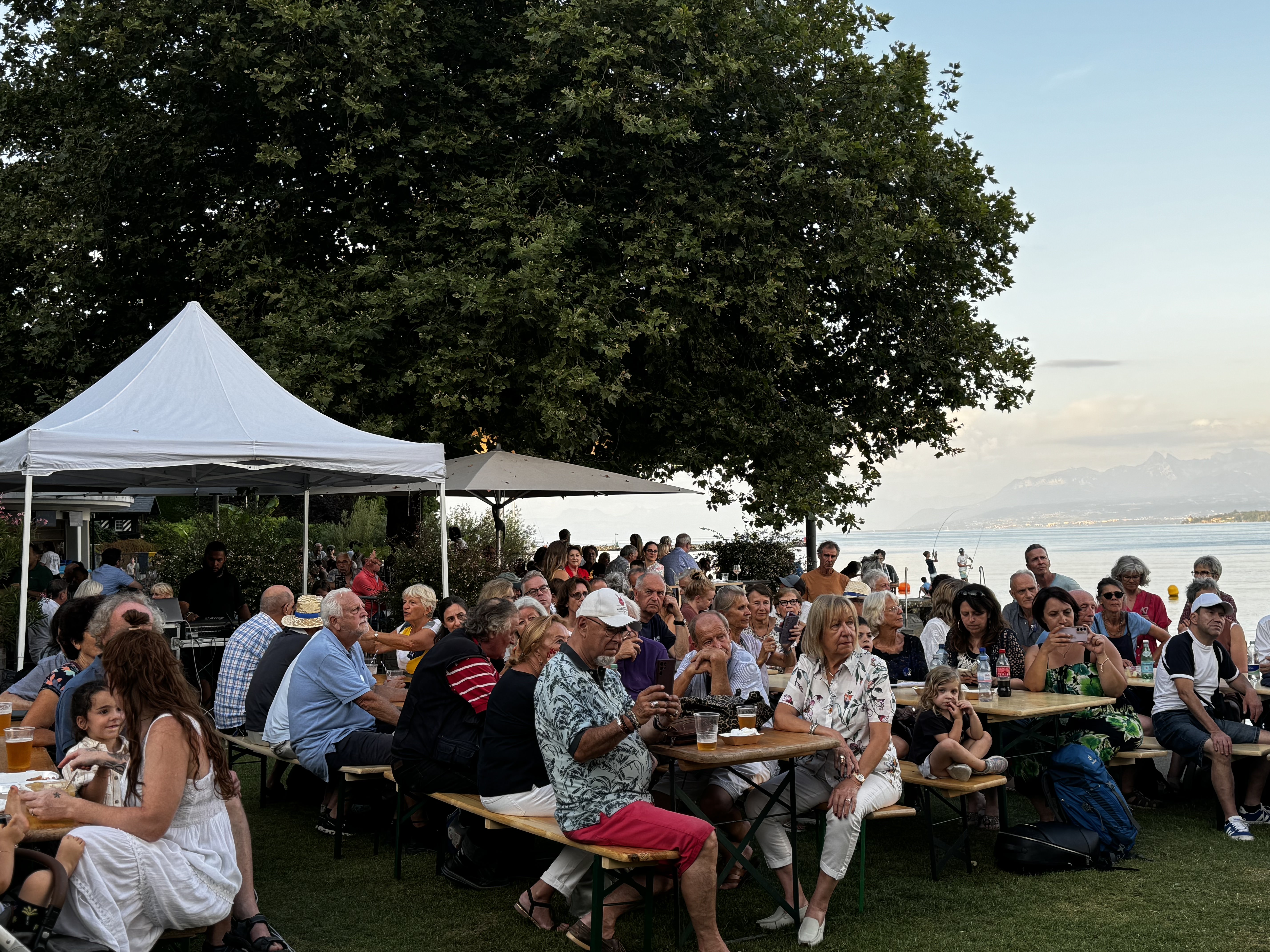 Alice and The White Rabbits