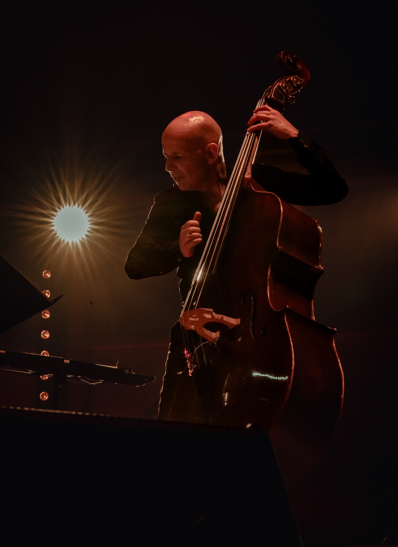 Nicolle Rochelle & Swiss TriBe