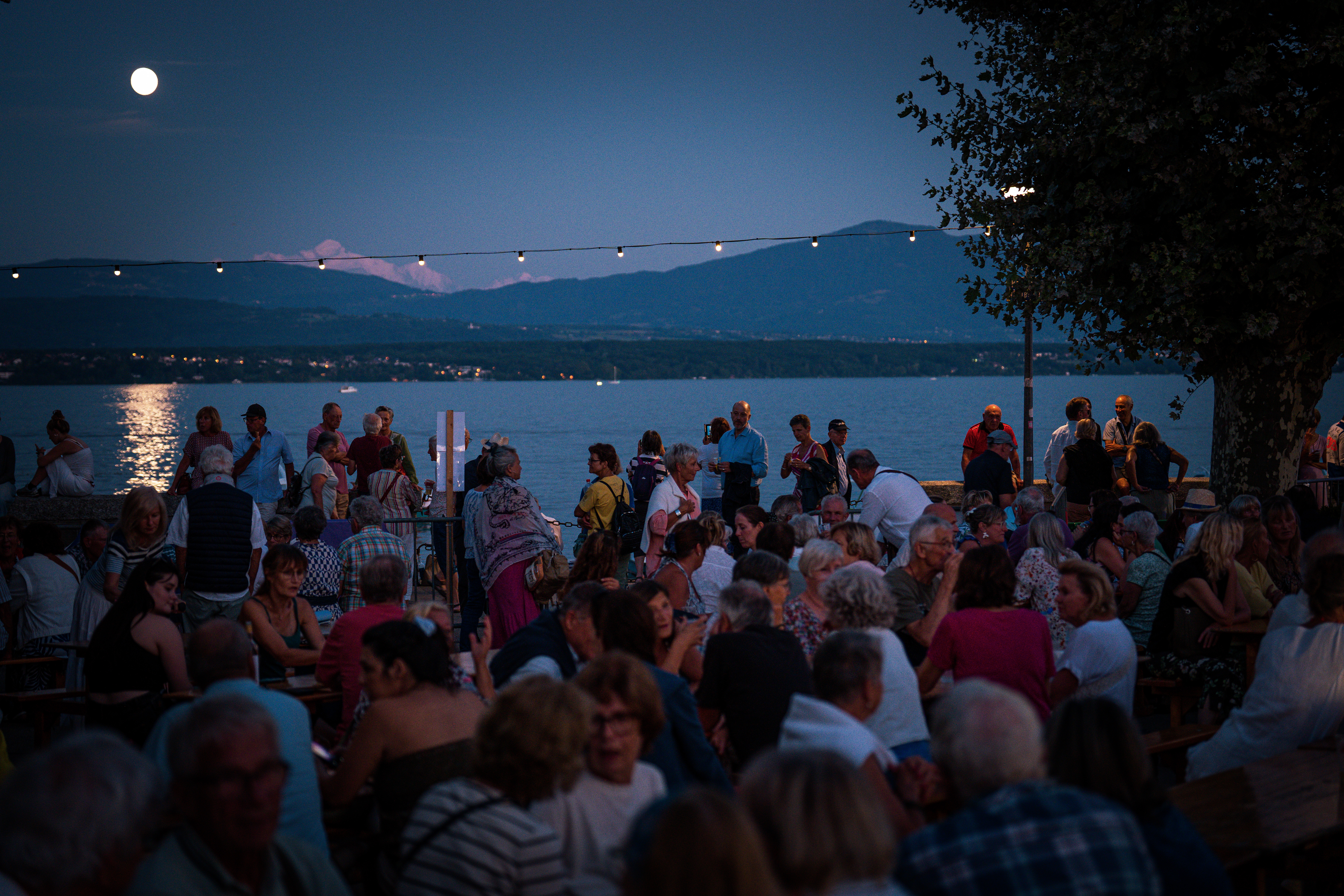 New Orleans Syndicate