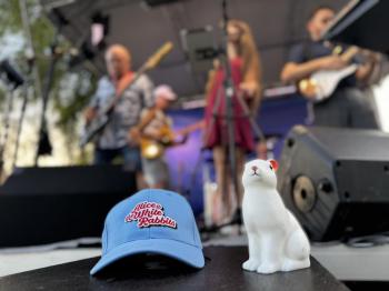 Alice and The White Rabbits