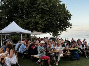 Photo concert Alice and The White Rabbits - Festival Rive Jazzy Nyon - &copy; Alessandro Palmieri