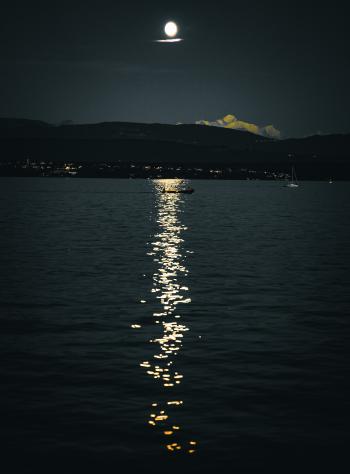 Concert photo New Orleans Syndicate - Festival Rive Jazzy Nyon - &copy; Alessandro Palmieri